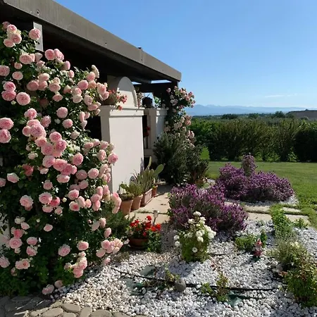Farm stay San Pietro *