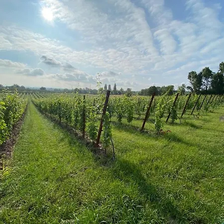 Farm stay San Pietro Desenzano del Garda